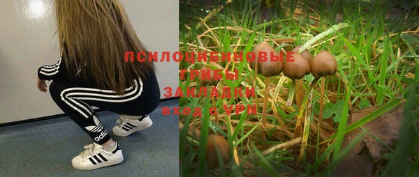 соль ск Алексин