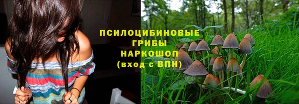 соль ск Алексин