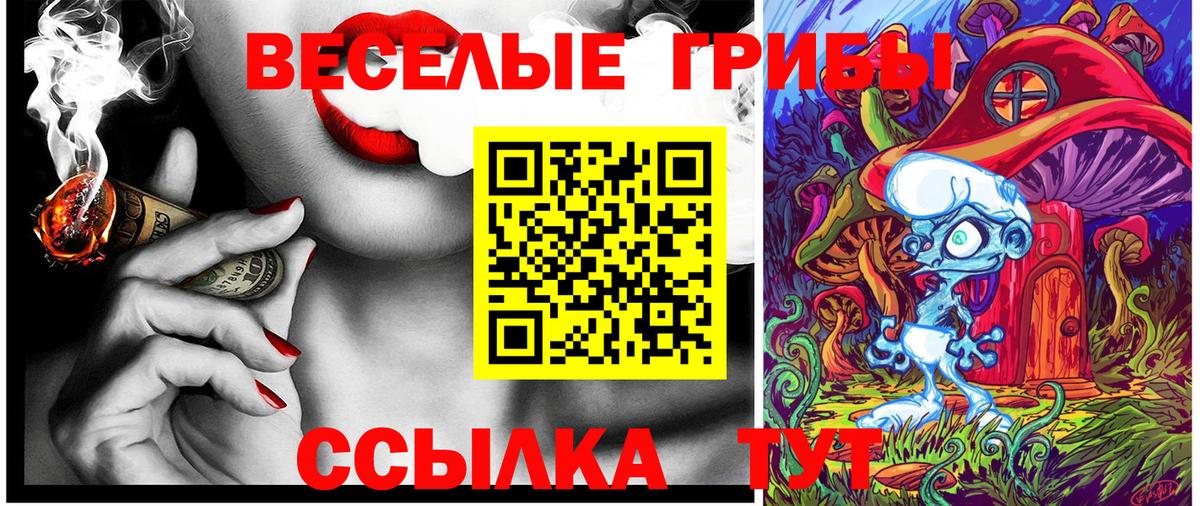Уссурийск  Галлюциногенные грибы MAGIC MUSHROOMS  Псилоцибиновые грибы GOLDEN TEACHER  Вход с VPN 